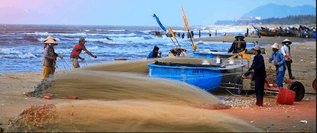 Vũng Tàu nhiều biển nên nhiều làng chài đánh bắt hải sản