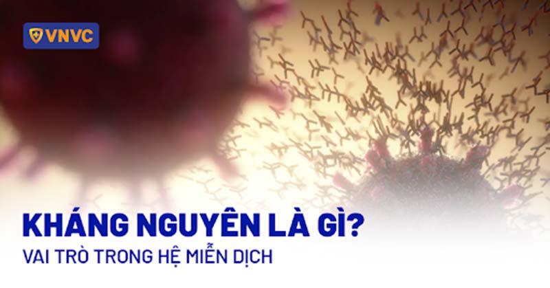 kháng nguyên là gì