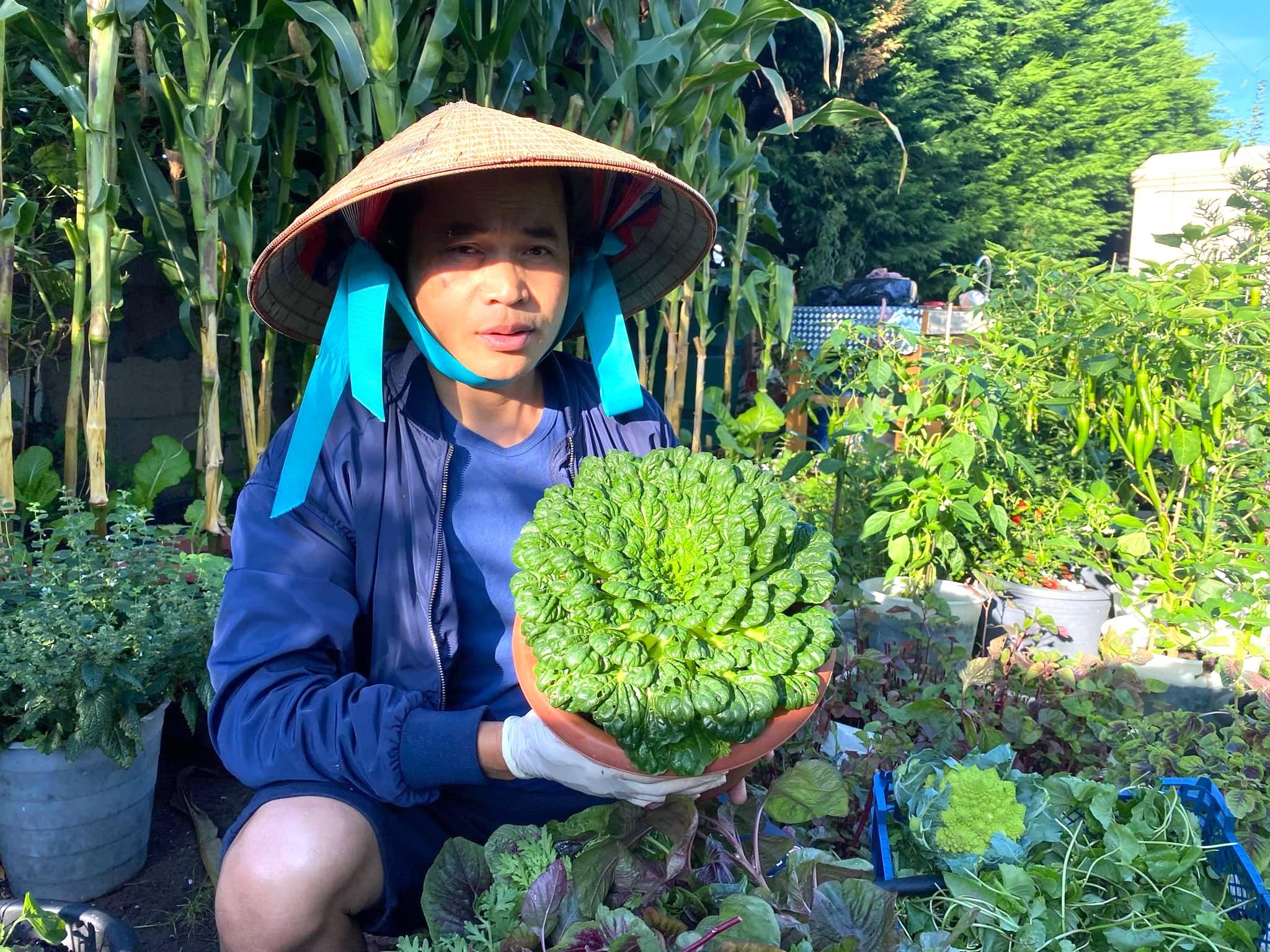 Vườn rau Việt hơn 100 loại xanh mướt trên đất Anh, ai thấy cũng thầm ao ước