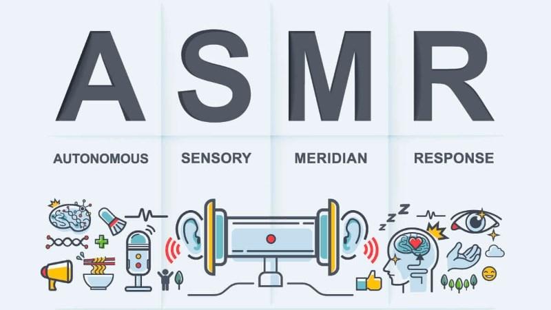 ASMR là phản ứng kích thích tự động