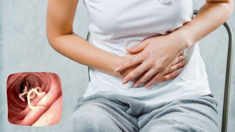 Tẩy giun là cách loại bỏ giun hoặc ký sinh trùng đường ruột bằng thuốc
