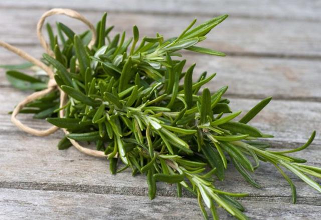 rosemary là gì
