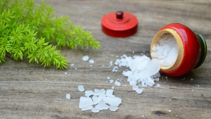 Bột long não thường được dùng trong y học