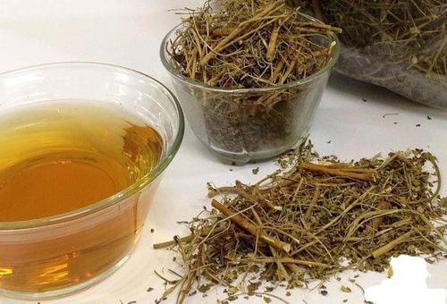 Bông mã đề có tác dụng gì?