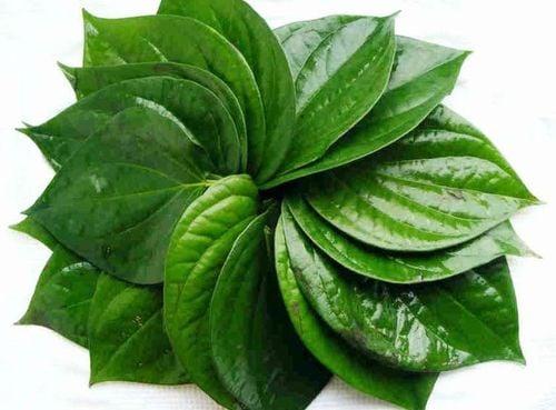 Xông hơi vùng kín sau sinh có tác dụng gì?