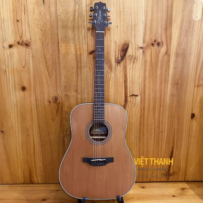 guitar Takamine GD20-NS