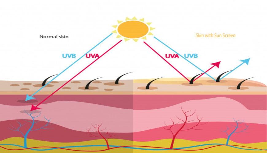 tia UV cũng là một nguyên nhân gây ra tình trạng da khô bong tróc