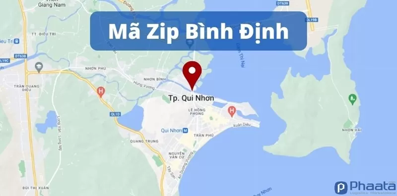 ma-zip-binh-dinh