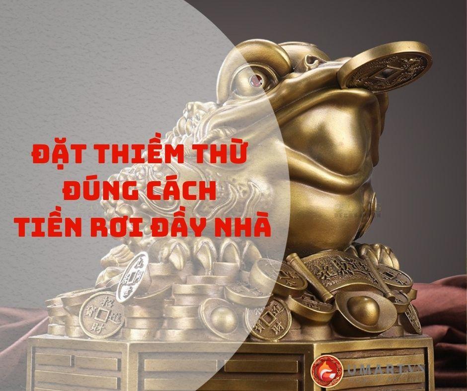 Cách đặt thiềm thừ tốt nhất