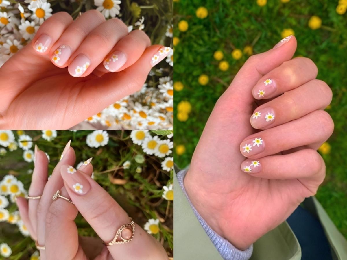 Mẫu nail hoa cúc