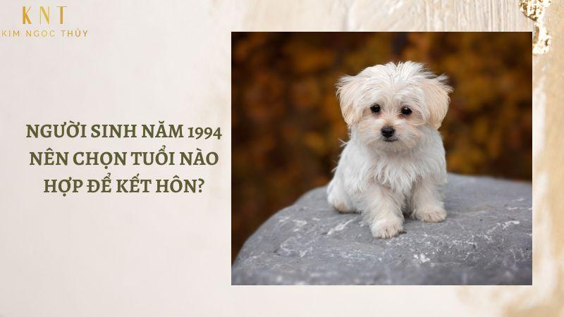 SINH NĂM 1994 NÊN CHỌN TUỔI NÀO HỢP ĐỂ KẾT HÔN?