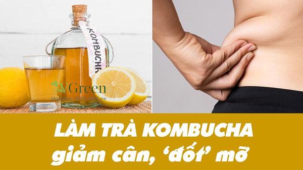 cách uống kombucha giảm cân