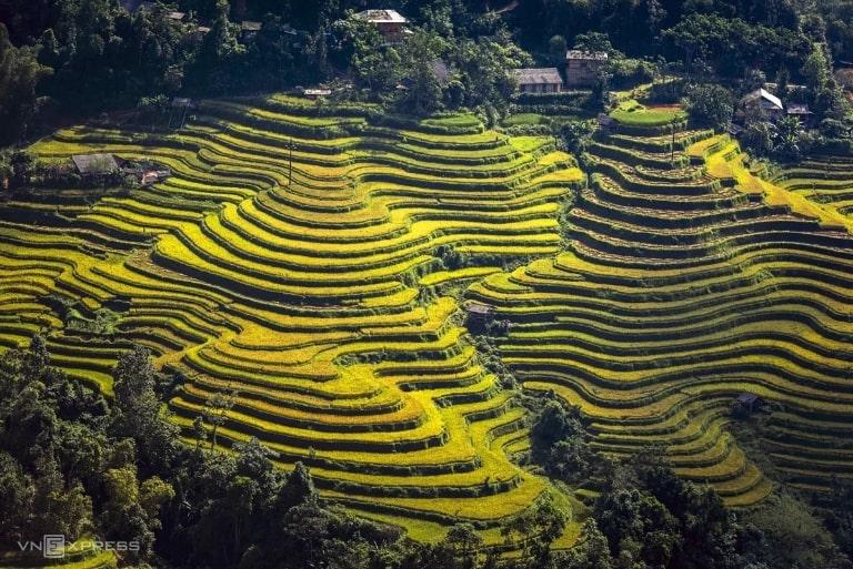 Hoàng Su Phì của Hà Giang khiến bạn say mê ngay từ lần đầu đến