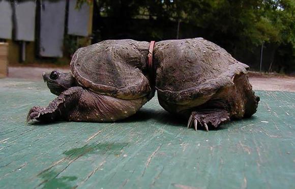 Chùm ảnh sốc về ô nhiễm môi trường