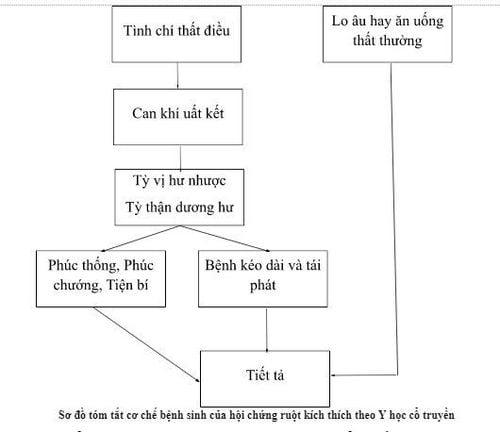 Sơ đồ tóm tắt cơ chế bệnh sinh của hội chứng ruột kích thích theo Y học cổ truyền