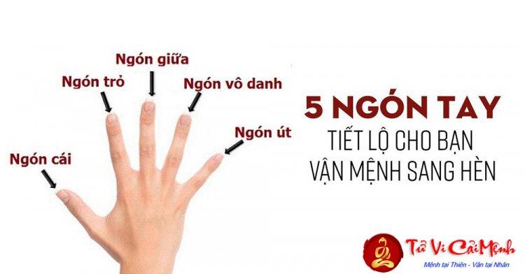 5 Ngón Tay Có Ý Nghĩa Gì Theo Nhân Tướng Học