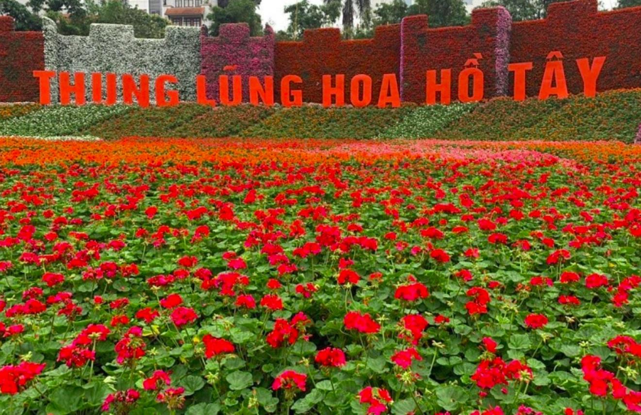 Thung lũng hoa Hồ Tây