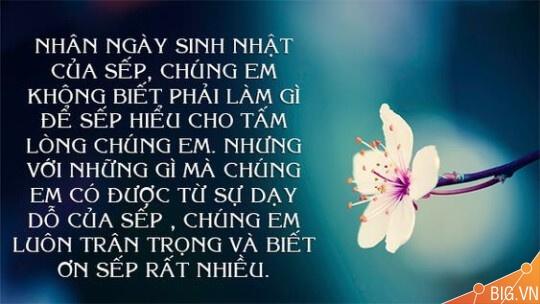 lời chúc mừng sinh nhật sếp