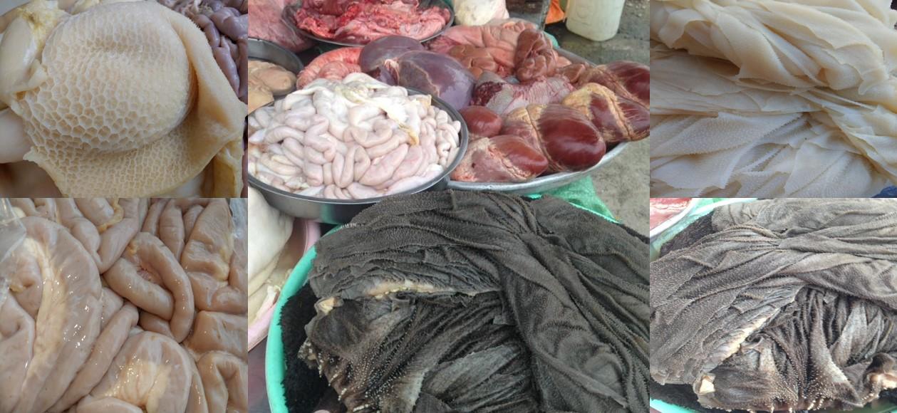 Lòng bò
