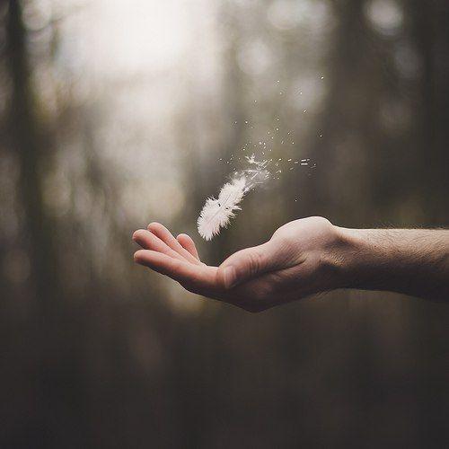 [THTT] Là Hạ Hạ Cũng Là Thượng Thượng - YBOX