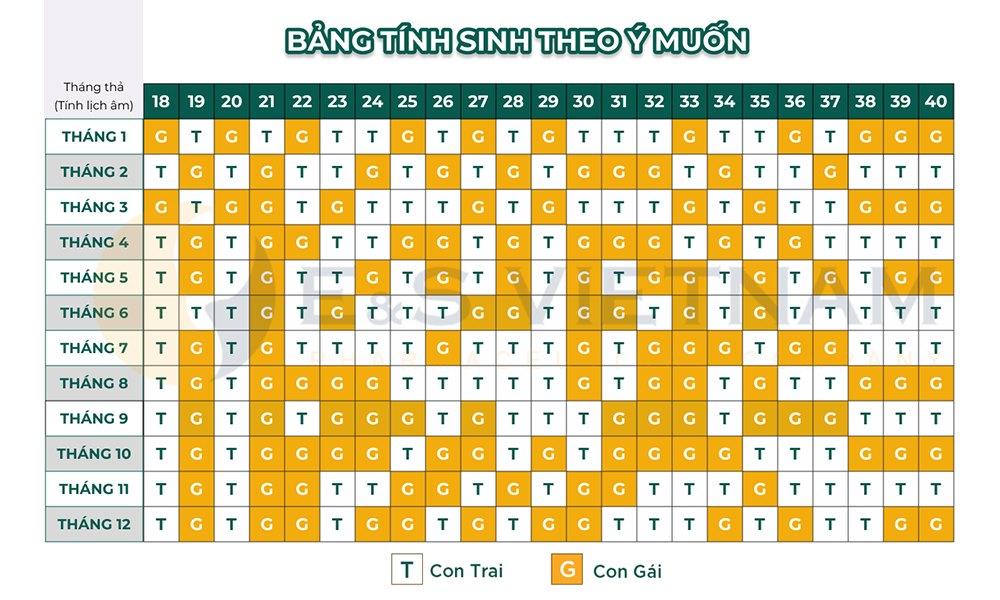 Hình ảnh bảng tính sinh con theo ý muốn