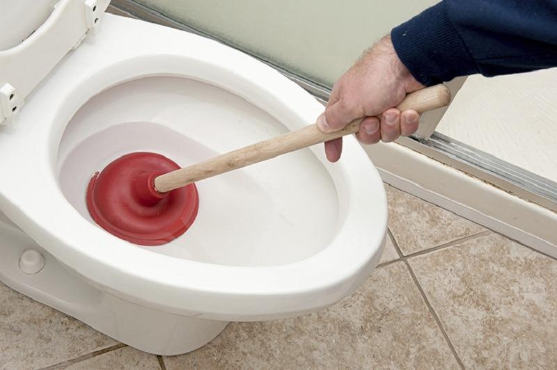 cây thụt bồn cầu