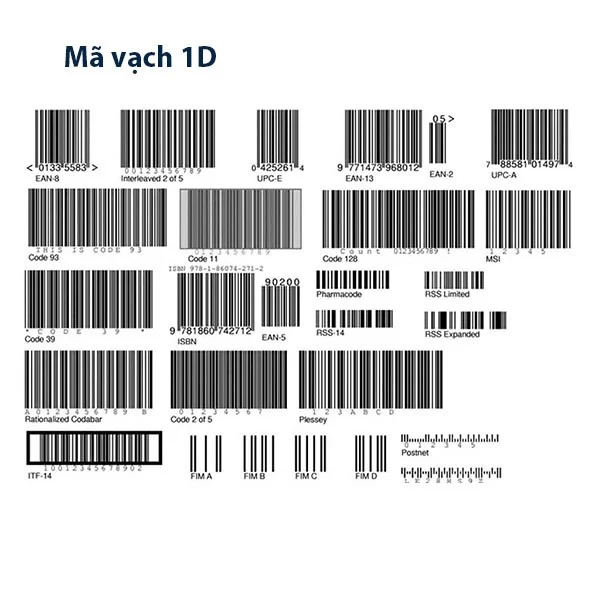 ma-vach-1d-co-chieu-dai-nhu-hinh-chu-nhat