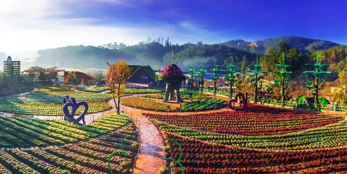Tour Đà Lạt Cao Cấp Trọn Gói 3N3Đ Khách Sạn 4-5* Chất Lượng 2025