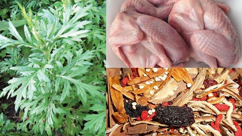 Nguyên liệu món ăn chim bồ câu hầm thuốc bắc