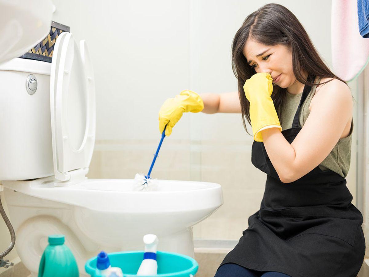 Bồn cầu vẫn có thể bị hôi bởi nhiều nguyên nhân khác nhau, dù được vệ sinh thường xuyên