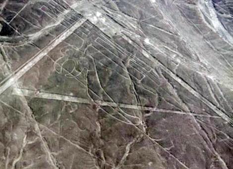 Bí ẩn chưa có lời giải về những hình vẽ Nazca ở Peru ảnh 1