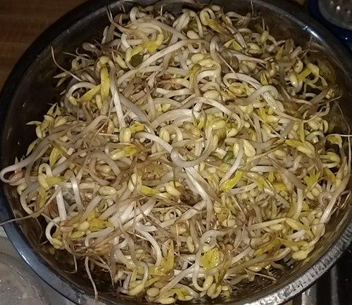 Mung bean