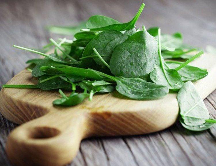 Cây mồng tơi được trồng rộng rãi ở khắp mọi nơi để làm thực phẩm và cung cấp dược liệu chữa bệnh