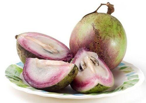 Công dụng của cây vú sữa với nhân hạt màu trắng có vị đắng