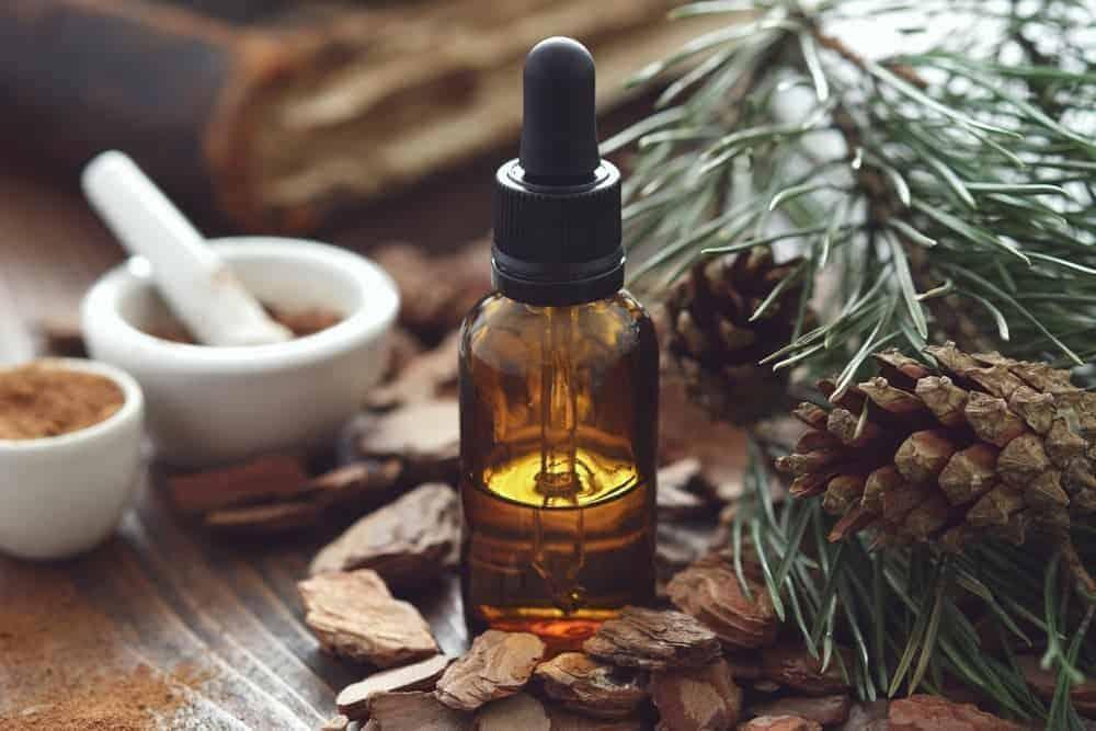 những ai không nên uống tinh dầu thông đỏ