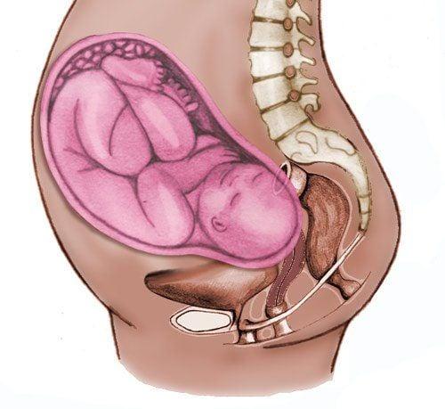 Tháng 5 - 6 của thai kỳ: Chiều dài tử cung khi mang thai thay đổi và đã cao tới rốn