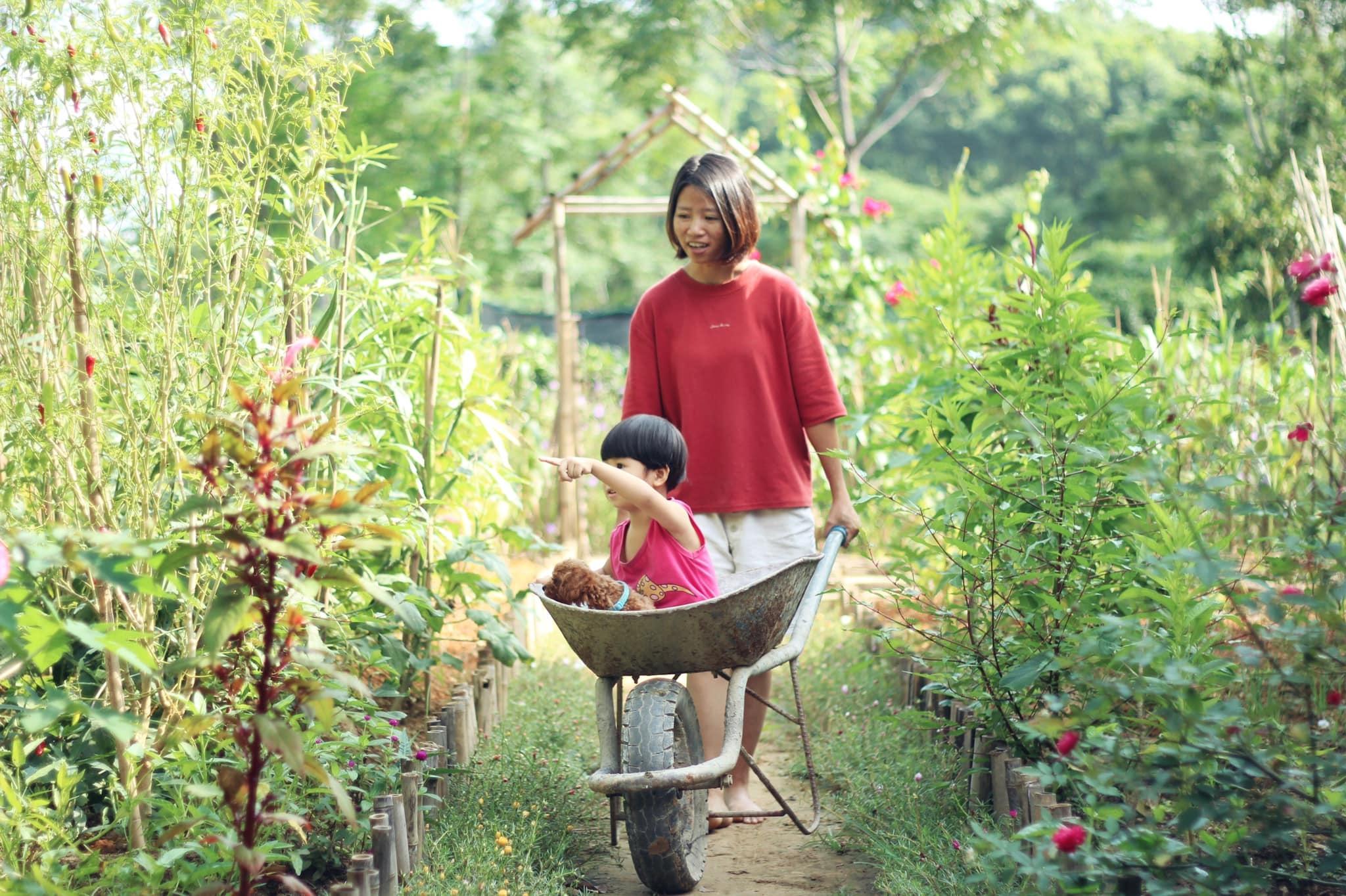 Làng quê yên bình qua ống kính của nữ thiết kế bỏ phố về quê bán cá - 1