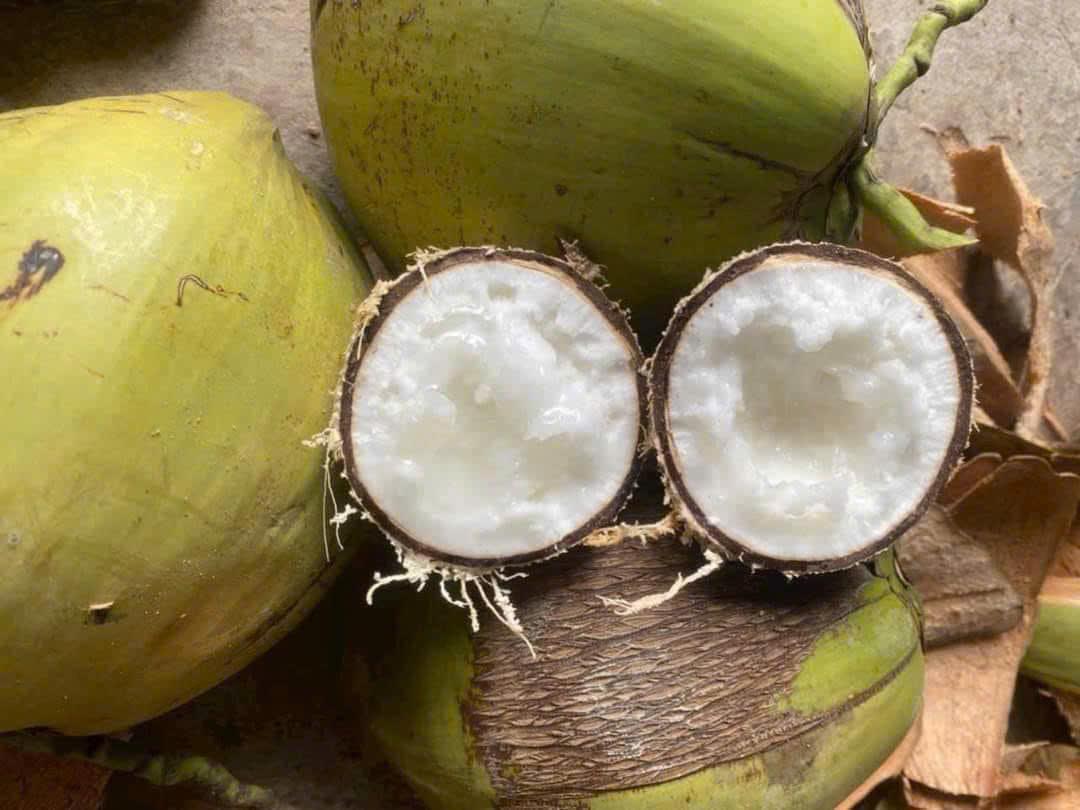cách bổ dừa sáp