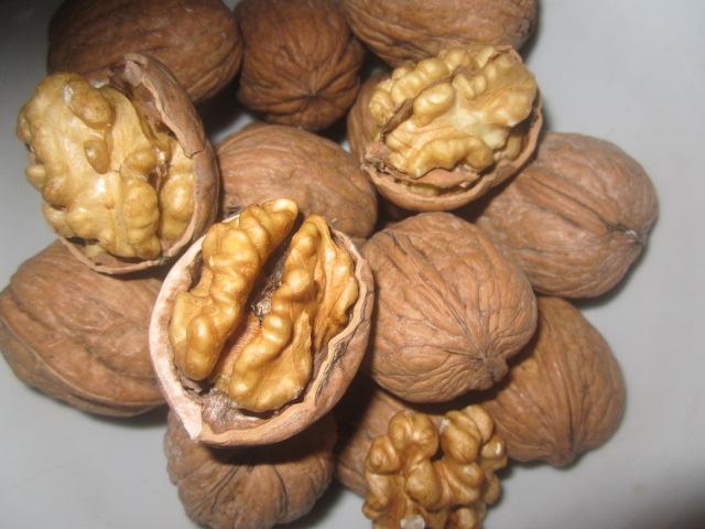 Tại sao hạt óc chó lại đắng