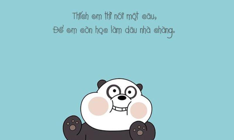 STT vui khi đăng ảnh đời thường