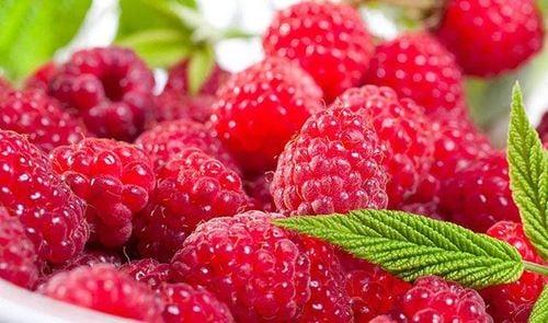Quả mâm xôi chứa ít carbs và nhiều chất xơ, khiến chúng trở thành lựa chọn thông minh cho bất cứ ai muốn kiểm soát lượng carbs tiêu thụ hàng ngày