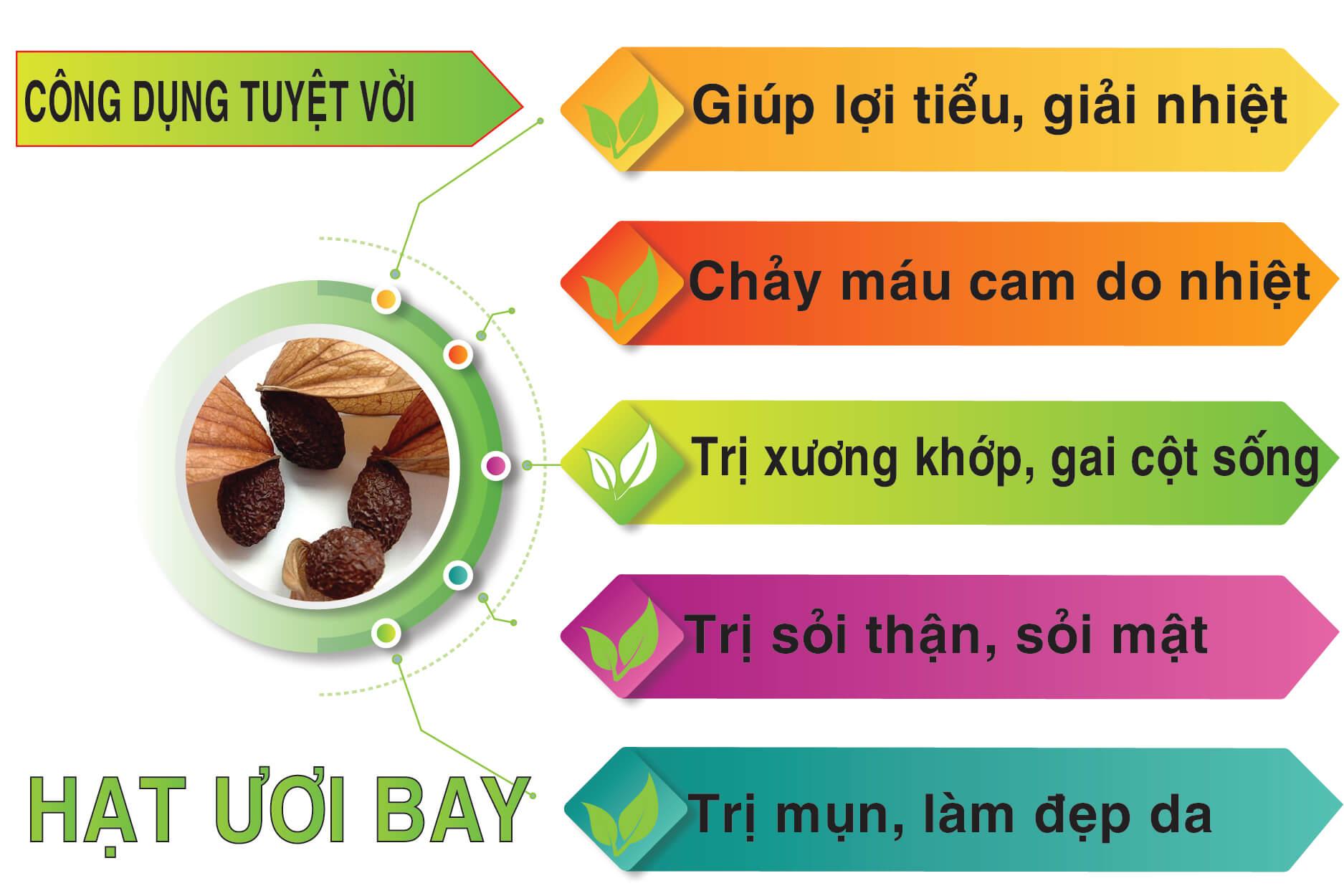 cách sử dụng hạt ươi