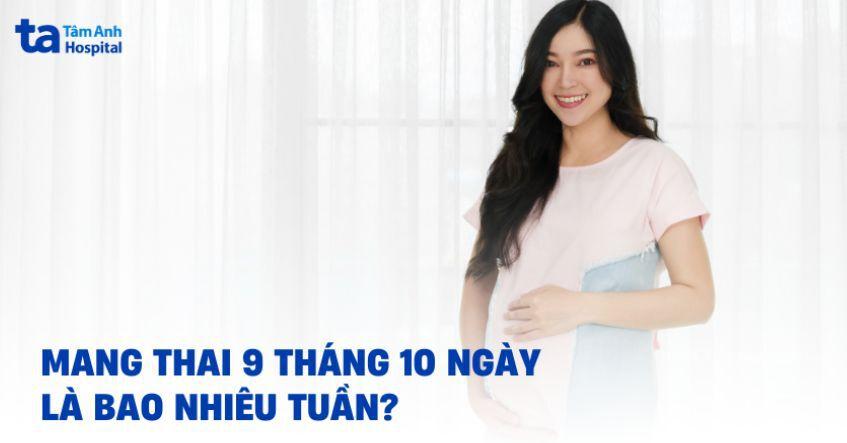 9 tháng 10 ngày