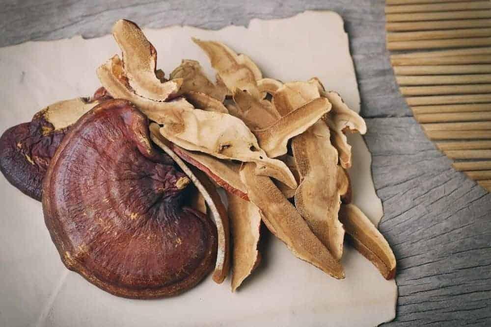 8 cách sử dụng nấm linh chi đơn giản, hiệu quả ngay tại nhà