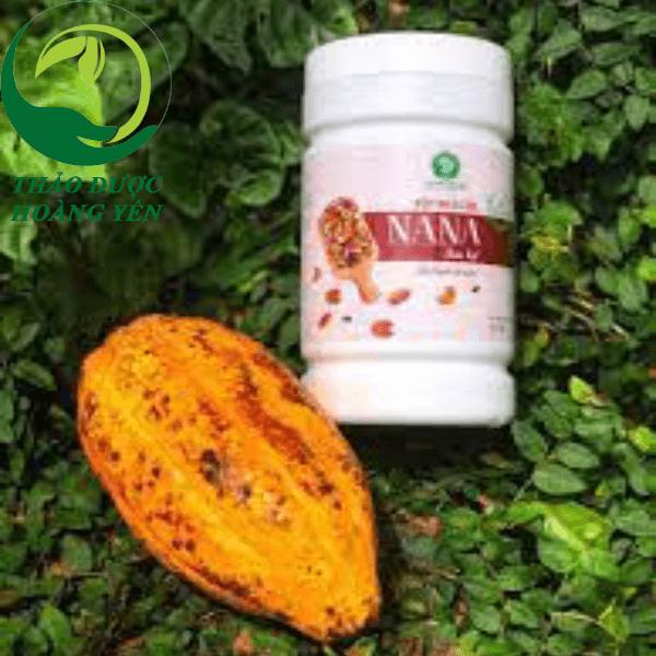 cây đuôi chuột trị bệnh hở van tim