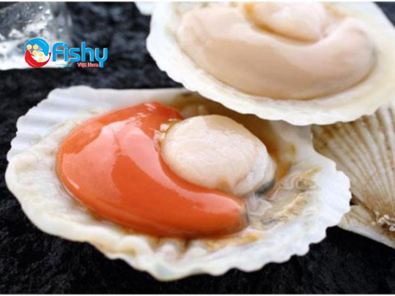 sò điệp làm món gì ngon