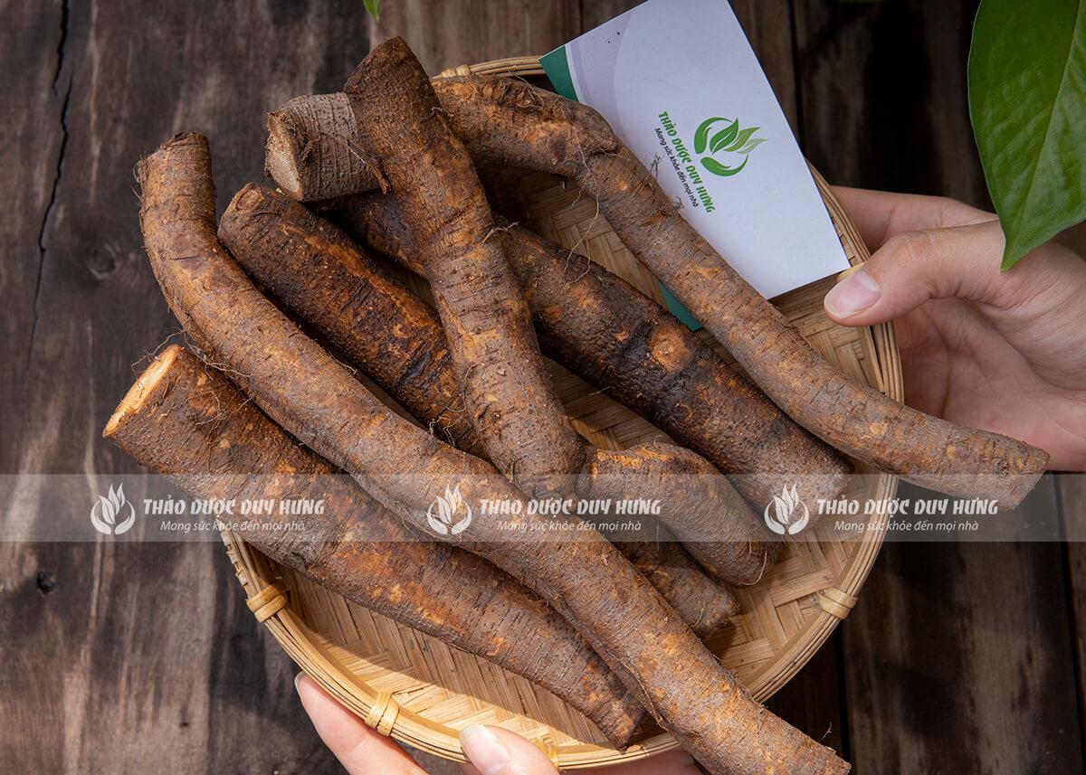 cu-gai-an-thai-thao-duoc-duy-hung