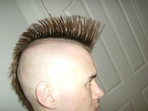 Mohawk hairstyle