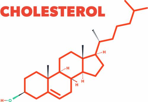 Ăn nấm giúp cải thiện mức độ cholesterol trong cơ thể