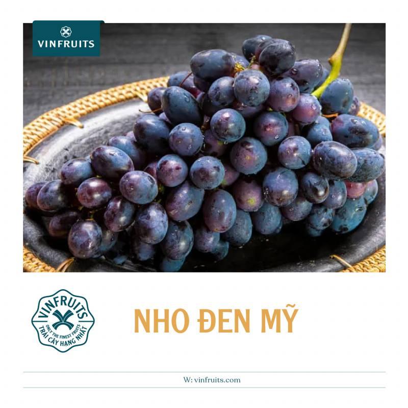 Nho đen Mỹ